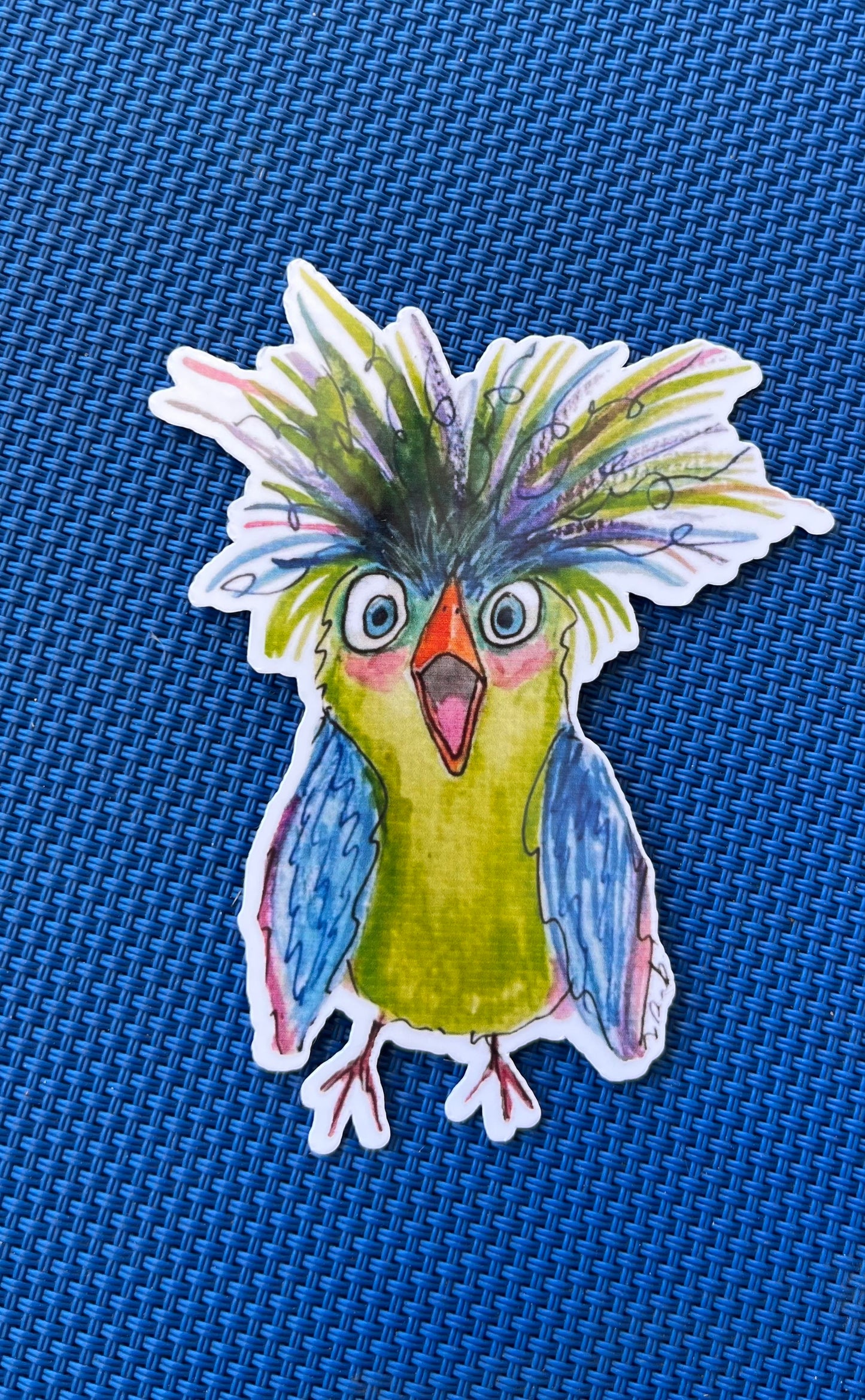 Surprized bird sticker FREE SHIPPING