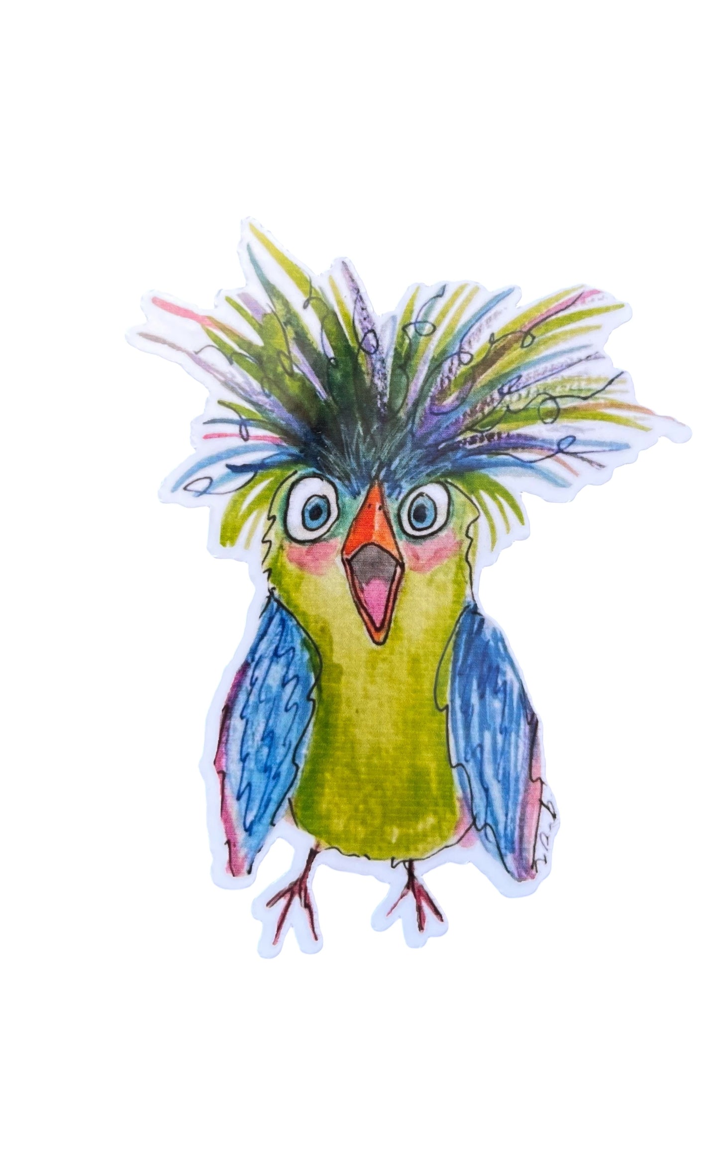 Surprized bird sticker FREE SHIPPING
