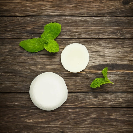 Peppermint Shampoo and Conditioner bar
